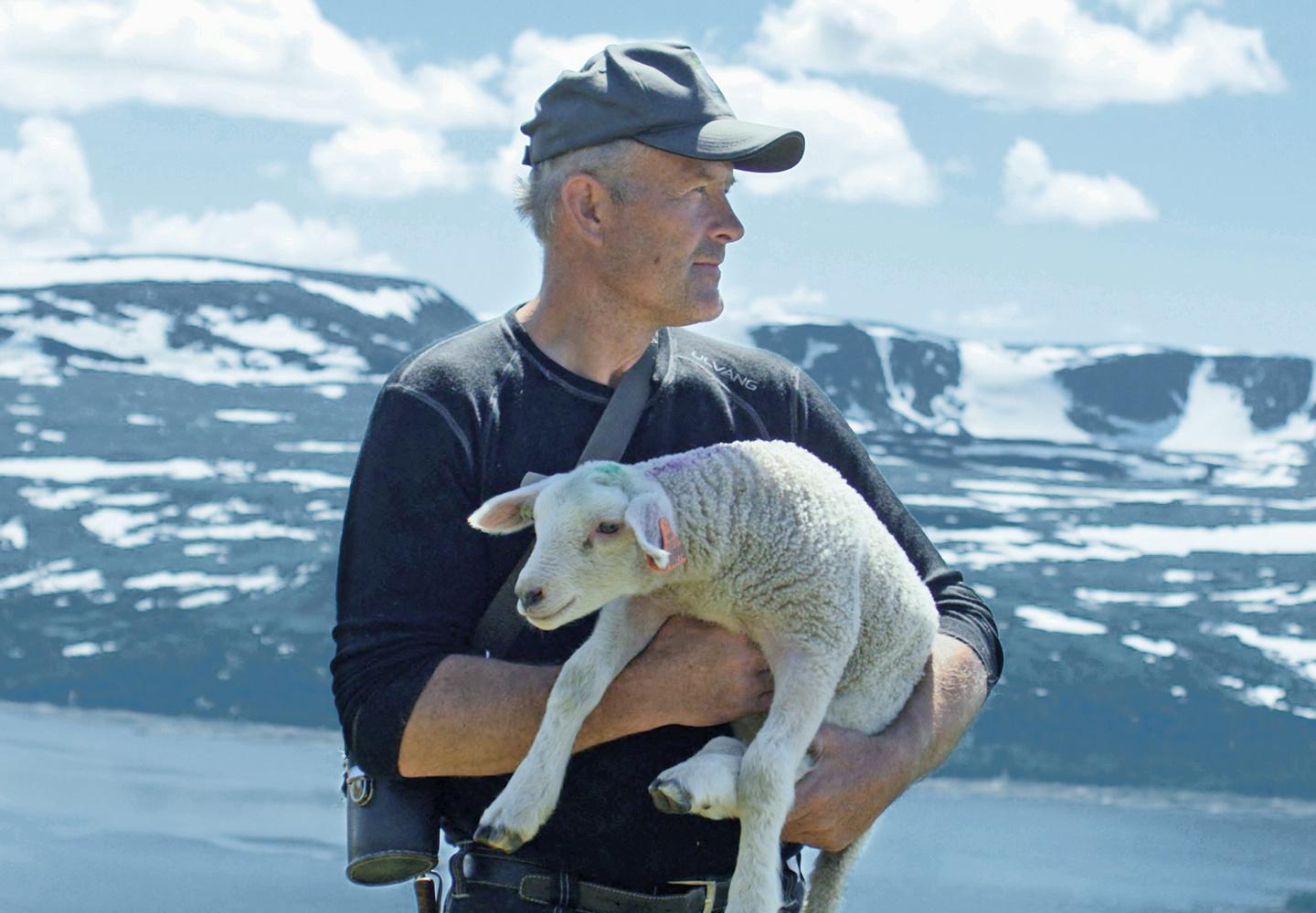 senscommon partner for wool - Lavalan | senscommon