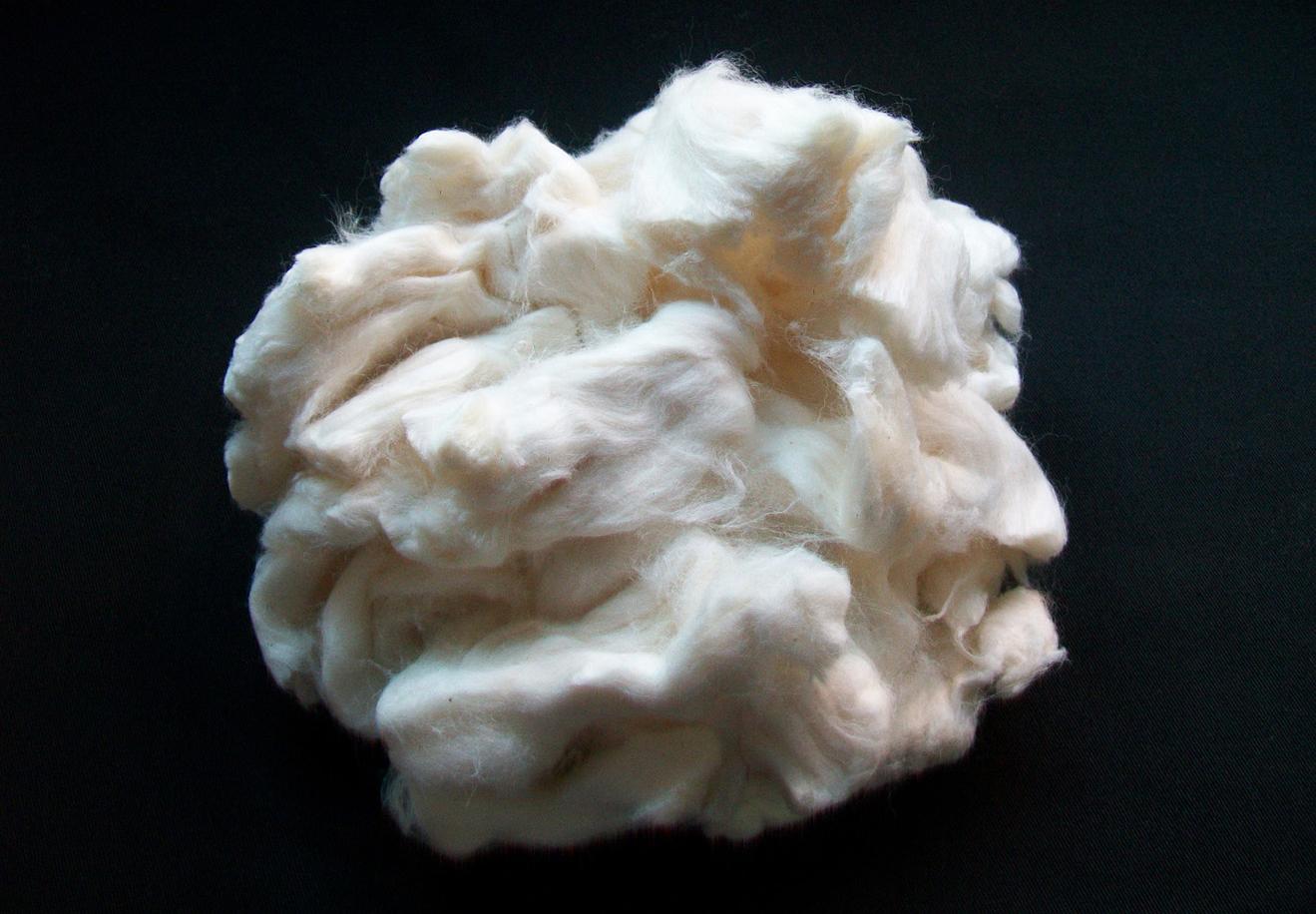 end of the cotton era | senscommon